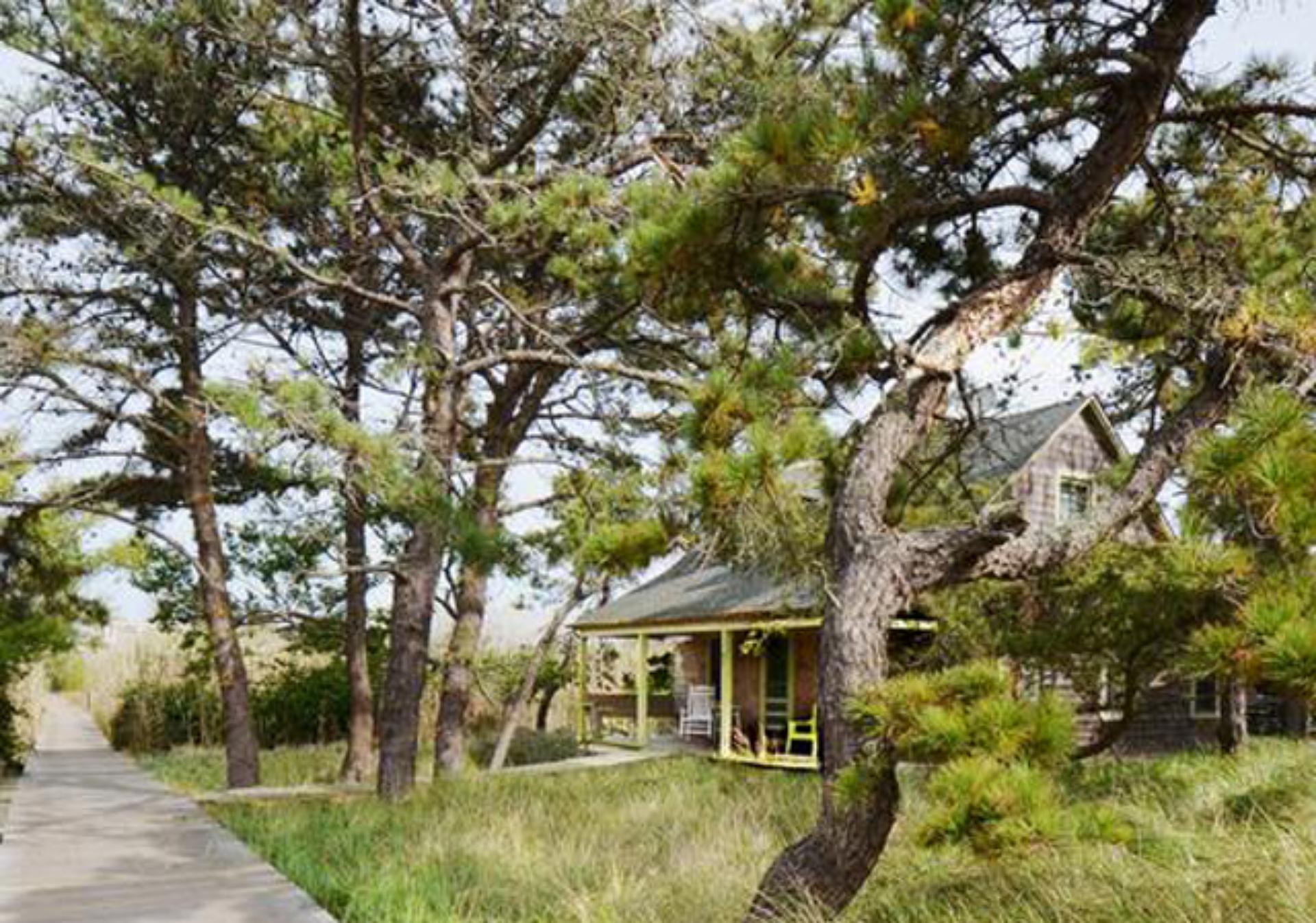 Rare opportunity to own a charming cottage on one of the largest parcels on Fire Island!  Driftwood Cottage is nestled on nearly half an acre in beautiful Corneille Estates and has been lovingly cared for since it was constructed in 1911.  Teeming with original charm and character, this heritage home features a beautiful wood burning fireplace, original beadboard paneling and hardwood floors throughout.  The home features 3 bedrooms and 1 bathroom, but could be expanded to accommodate today’s modern family in classic style.  The 175' X 100' lot represents an extremely unique opportunity to create a family compound or private estate in a peaceful setting.  The large deck could also be expanded and there is ample room for a sizable pool.  Subdivision potential with two separate tax lots.  Low taxes and affordable flood insurance only $1,811/year.

Ideally located, this home is just a 3 minute walk to the beach and a short walk to the ferry, shops, and restaurants in the Village of Ocean Beach. This special property is an incredible opportunity to establish a second home in a tranquil setting that your family can enjoy for generations to come.