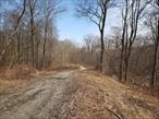 Approved 7 lot residential subdivision: Pristine, secluded, quiet area with DCBOH approved residential building lots 3.02-6.41 acres surrounding a 31 acre open space area. All lot sites selected for privacy. Partial physical improvements (over $350K) to include 2 (partially complete) roads and storm water works in place. Tax assessments in appeal. HOA established, shared fees for roads & storm water maintenance, and taxes on open space lot TBD. Great opportunity at a bargain price. FILED MAP 134089-6856-098096-lot-6 /4.45 ac            068118-lot-5 /5.17 ac      -6756-986018-lot-3 /3.02 ac      -6856-032081-open space /31.48 ac           -146089-lot-7 /6.41 ac       -6756-966032-lot-2 /3.49 ac       -6756-992091-lot-1 /4.73 ac       -6856-011015-lot-4 /3.97 ac