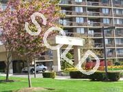 Bright & Sunny Studio With Closts Galore In Luxury Highrise Condo Complex. Manhattan Style Living, Without The Manhattan Prices.