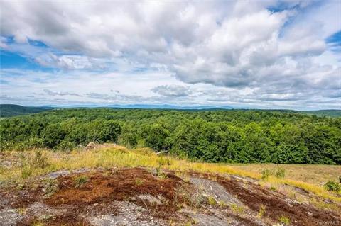 View West to the Catskill Mountains. Highest point on the property with cleared building site.