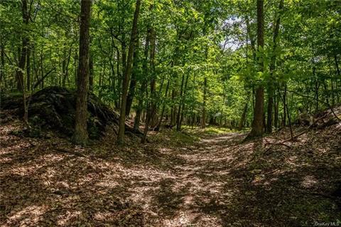 One of many trails through the woods on the property