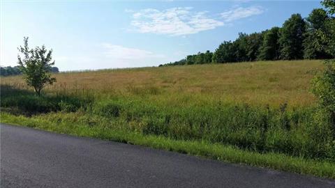 Looking southeast from Duck Farm Road. Heritage Trail is under the tree cover in the distance.