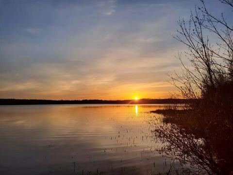 Lake Roxanne