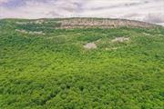 Own a piece of the Gunks & one of the tallest sheer cliffs in eastern U.S. Whether you&rsquo;re a rock climber, or just someone who&rsquo;d love waking up to awe-inspiring views, here&rsquo;s a rare opportunity to own a 103.4 acre property that includes the Shawangunk Ridge along its western border. BOH-approved septic & Planning Board approved plans exist for a new owner to convert an existing forest road into a majestic drive that will meander past historic stone walls up to a secluded homestead where the iconic granite of Millbrook featured in a recent Fall I love NY tourism ad will be the striking view from your dream home. The -20 buildable acres back up to 80+ acres of protected woodland a stunning world of its own and yet perfectly situated near the Mohonk & Minnewaska State Park Preserves, convenient to farms, shops & restaurants of nearby hamlets & bustling New Paltz. Only 1.5 hours to NYC&rsquo;s GWB. This property is perfect for a one-of-a-kind family compound to be passed down for generations.