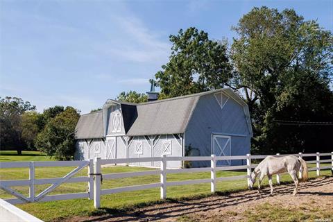 Barn, Paddock and Stalls