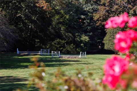 Barn, Paddock and Stalls