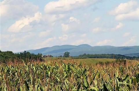 Soybeans are an alternating crop.