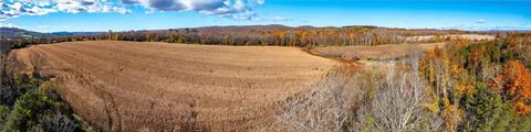 From middle field looking to the south. Property ends beyond cleared fields to the south and extends into woods on the right.