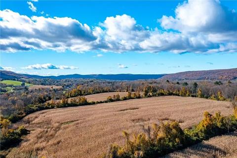 Looking over the eastern woods into Connecticut. Direct access to the Harlem Valley Rail trail.