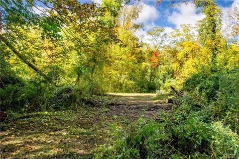 Road approaches a clearing.