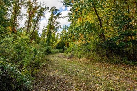 One of the many cleared, drivable trails.