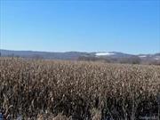 Calling all farmers! 32 Acres of gorgeous black dirt farmland now available in the renowned Pine Island Black Dirt Country. Fabulous farming! Agricultural tax discounts and incentives. Old Farm Shed and 2 old metal containers on property can be overhauled for storage. Only 90 Minutes NYC and close to Warwick and Middletown NY for public transportation and conveniences. Great Location!