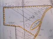 This is mature land for development, or make a beautiful private estate. Excellent topography with outstanding vista&rsquo;s.