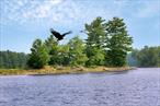 This spectacular approved subdivision consists of 63 mostly five-acre lots. 12 lakefront lots, 14 riverfront lots and 40 wooded lots. This subdivision is ready for building immediately. The land is located in the Town Of Bethel on Sullivan County&rsquo;s largest boating lake, the nine mile long Swinging Bridge Reservoir. This phenomenal piece of property borders the world-renowned Chapin Estates to the south and the very popular community of Smallwood to the North and West. If you are a developer looking to build a world class Resort or you are just looking for one of the nicest pieces of real estate in the Catskills now is your chance. You will be near all the great attractions the area has to offer including The Resorts World Catskills Casino, The Yo1 Health & Wellness Center and Yoga Retreat, The Monticello Motor club, Bethel Woods Center For The Arts AKA Woodstock, For directions do a Google search for Whispering Woods Dr, Mongaup Valley Bethel NY 12762.