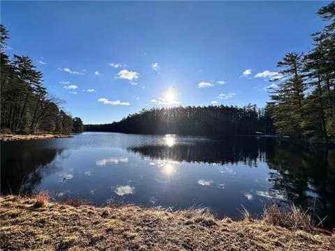 Forestburgh Pond