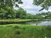 Peaceful 16+ acre setting with land on both sides of pond & wetlands, providing awesome opportunity for viewing all types of wildlife. Own the north end of Bishop Pond in the Western Catskills community of Bethel, home to the original Woodstock Festival. A total of over 500&rsquo; of waterfront on each side. Building needs to be done outside buffer area of wetlands, check with proper authorities. Use your creative imagination to make a nature wonderland for your new home! Two parcels with two road fronts meeting at the pond in back. See aerial and survey in photos. No further subdividing allowed per deed. Nearby stock car racetrack only operates Saturdays 4-8 in the summertime.