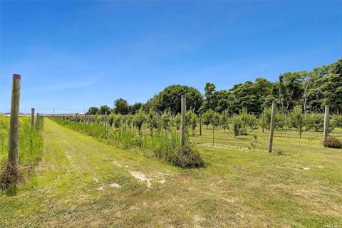 Fruit Trees