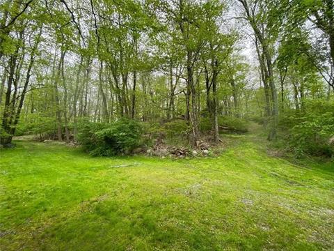 Pathway cleared to walk around on proposed driveway.