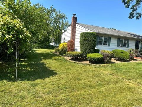 Side Yard View