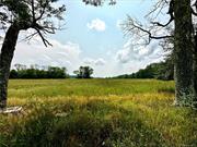 BETHEL, NY - RARE OFFERING OF 10.41 ACRES SITUATED ONLY 2 MILES FROM BETHEL WOODS PERFORMING ARTS CENTER - Come build your dream home on one of the most beautiful roads in Bethel, NY, home to the original 1969 Woodstock Music Festival. This stunning lot features magnificent views, open sky for the best star gazing you&rsquo;ll find anywhere and a location you&rsquo;ll fall in love with. This land is perfect for your new dwelling, it&rsquo;s level, cleared, electric is on the road so easy to bring in to the site and great options for placement as well. Bethel Woods Preforming Arts Center is home to concerts, the Harvest Festival, Woodstock Museum and so much more. Centrally located in the famous Sullivan Catskills only 2hrs from NYC, minutes away to many quaint towns for dining/shopping, amazing hiking trails, skiing, many public lakes w/boat rentals, rafting/fishing on the Delaware River, Kartrite Indoor Water Park, Resorts World Catskills Casino, the best farmers markets you&rsquo;ll find anywhere all for a very beautiful life in the country.