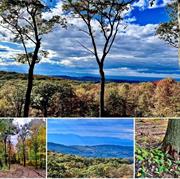 205 ACRES Among the vast expanse of trees lies the serenity and peacefulness of nature on this amazing parcel of land. Come view the panoramic beauty on this 205 acre lot of pure bliss. Topography lends to spectacular potential views to the south, west (Catskills) and north. Private, level, sloping and wooded this parcel has all the right specs for building your dream home or family compound. Significant road frontage on West Hill Road and a shared private road surrounds this property. Perk and deep hole test has been done to verify viability of future septic design. Location map and BOH letter available in docs. Close proximity to Great Barrington, Hudson and Albany Airport not to mention the beauty of the Berkshires and Catskill Mountains. All year round activities right at your fingertips such as skiing, fishing, fall festivals, farm fresh stands and amazing restaurants. Additional land available.