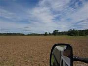 Green Pastures Farm 196 acres privacy plus about 80 acres is cleared and in agriculture . Stream goes through property and there is a nice pond also .Soil is sand and gravel and current owner had purchased it for a mining operation before the zoning changed . Remainder proerty that is not cleared can be cleared easily it is all small scrub . Soil is well drained great for crops or animals . Property is subdivable and in a nice quiet area yet only 10 minutes or so from town .This is a gem of a property and it is getting hard to find this large a parcel in one piece . Call Tom for a look The western portion has wonderful CATSKILL VIEWS - you will need an SUV to drive the land . WOnderful property for horses , cattle etc. ALso prime for subdivision ample road frontage gravel soil , views, Wooded Acres:90.00, IMPROVMNTS:Drive