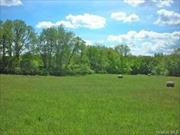 Property is on a beautiful road in Dutchess County, NY. Tucked away, a secret meadow adding privacy for a building site. 31.61 acres for sale in the town of Pine Plains located in the greater Hudson Valley. Panoramic view of the distant mountains and farms. This open field could be organic farming or raising livestock. This property is part of a larger farm which was once an active farm many years ago, but currently being farmed for hay. Buyer will have to do BOHA, install well and septic. 10 Minutes to Village of Millerton, Wassaic Train, Amenia and Pine Plains, NY