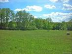 Property is on a beautiful road in Dutchess County, NY. Tucked away, a secret meadow adding privacy for a building site. 31.61 acres for sale in the town of Pine Plains located in the greater Hudson Valley. Panoramic view of the distant mountains and farms. This open field could be organic farming or raising livestock. This property is part of a larger farm which was once an active farm many years ago, but currently being farmed for hay. Buyer will have to do BOHA, install well and septic. 10 Minutes to Village of Millerton, Wassaic Train, Amenia and Pine Plains, NY