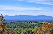 Spectacular Views of the Hudson River and Catskill Mountains from the apex of this 850 feet above Sea Level 114.2 Acre Lot. Look to the East and the Berkshire Foothills are visible. Land is in Forestry Exemption allows for low taxes with a 5 Acre Building Envelope with all the views. Currently, A Cell Tower out of sight exists on the way up on 7 Acres. Road is in. Call for details on this Heavenly Piece of Property. Selling for below Assessment. Taxes are much lower than what is shown, the system will not allow taxes with exemptions.