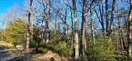 Looking for a spot to build your dream home, look no further! This nice mostly level property is wooded with some open space. There is 288&rsquo; of road frontage and the property is approximately 400&rsquo; deep. Located close to the towns of Barryville and Yulan. Close to the Delaware River. Land is selling quickly, so schedule your appointment today! Additional Information: SoilType:Unknown,