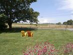 Vineyard Views from this 4 Bedroom/3 Bath Renovated Home on almost 3/4 of Acre of Land. Eat In Kitchen, Living Room, Separate Large Family Room with Fireplace, All Make for a Pleasant Stay. AVAILABILITY - Available 11/1/24 to 4/30/25 at $5, 000 per Month for Single or Multiple Months.  Permit #0629.