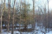 Nice lot waiting for your cabin or forever home. Mixed deciduous forest. Small stream running through the forested undergrowth. Minutes from downtown Narrowsburg and the Delaware River. We observed several whitetail deer and spooked out some wild turkeys when we walked the land.