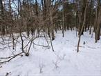 Level, lightly wooded lot in a private location off the &rsquo;beaten path&rsquo; yet close to everything you need. Largely level lot at the end of a private road. Property has been surveyed recently. Buyer is responsible for engineering and all municipal approvals.