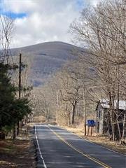 Location Location! Minutes to Wood Stock, New York. Build that new home. Quiet, secluded, peaceful setting. County is beautiful. Fresh country air. Your buying a lifestyle. Its always recommended to have a survey done before closing. View of the mountain range on the 10 minute drive from your 30-acre property to Woodstock, NY. The leaves are changing and are beautiful this time of year. Drive up this week and stay for a lifetime.