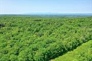 Over 84 acres of vacant land bordering scenic Wadsworth Hill and Old Gale Hill Road. Rolling land with far-reaching views. A quiet country property with lovely surrounding areas. Perfect acreage for hiking, exploring, and building your home or compound The land is in the Forest Stewardship Program with the benefits of a significant tax reduction. A 3-hour drive from NYC, 25 minutes to Bousquet Mountain for skiing and summer concerts, a few minutes to Queechy Lake for swimming and fishing, and very close to Hand Hollow Conservation Area. An additional 195 acres are also available for purchase, MLS # 6291771.