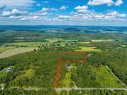 On top of Silver Mountain is this 6.11 acre flag lot with an elevation of 1400 feet. Located on a picturesque Dutchess County road, this property features a pine grove forest with a clearing. Build your dream home in this peaceful and private setting. Situated between Millerton and Pine Plains, and just 15 minutes to the Metro North Train Station in Wassaic.