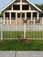 This Home is Available To Rent Weekly For $7, 500 NOT a month. Fire Island is a vacation destination. Newly Renovated Contemporary Beach house. Home has Splits unit that provide A/C and Heat. Very bright and Airy. Spend your vacation here. Relax and enjoy ! Rates $7, 500 per week and $30, 000 per month.