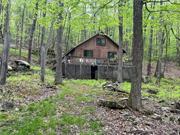 Are you a hunter or are you looking for adventure? This beautiful seasonal cabin is perfect for you. Your peaceful retreat has a cottage with a large deck and an open floorplan looking for your personal touches. Handsome Eddy Brook flows through the property giving you a serene waterfall experience. This deal offers 3 parcels totaling 78+ acres and will not last. Schedule your personal tour today.