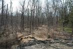 Secluded, private rolling land. First time on market, new 14 acre lot subdivision or two 50 acre lots. Total land 109.9acre.  There are two existing wells. One on Lot 1 & the other on Lot 7. Additional Information: SoilType:Loam,