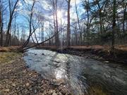 Rare find in the Sullivan County Catskills features undeveloped acreage with a beautiful rushing stream! This vacant land offers so much opportunity with municipal water, commercial and residential possibilities, and a great location in the peaceful country hamlet of White Sulphur Springs. 30.7+/- acres has close to 1400 feet of frontage on two roads. A generous stretch lies on Mineral Springs Road across from residential homes and horse farm. More frontage (362+ feet) on NYS Rt 52 is mostly cleared and level with high visibility on the well-traveled thoroughfare to Western Sullivan County. In the center of the business corridor, it is directly next to the Post Office, Church, Auto Business, Local Eatery/ Inn and more. There are distant mountain views and a beautiful stream of sparkling crystal-clear water passes through the magical woodland. Zoning is SC, Service Commercial, with many uses, and the property has access to municipal water on both roads. See zoning table in docs.