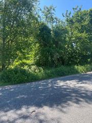 Incredible Opportunity! Calling all Builders, Developers and end users. Lot in Brentwood 75 foot frontage by 175 deep, A1 zoning. Lot is in between 99 Adams and 9 Van Cedar Avenue Seller is not willing to go subject to