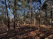 Wooded lot, great location and great western exposure!