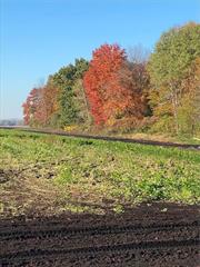 Agricultural Land for sale. 5.8acres in flood zone, no utilities. Buyers agent to do their due diligence. No property reports exist. Orange County Tax Map as Sect 21, Block 1, Lot 111.