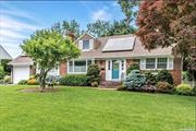 The gem of the neighborhood this house shows pride of ownership and been completed to be the move-in ready open front door be greeted by cathedrals ceilings in the entryway large frml/LR featuring a brick floc with wood burning stove insert large windows 1st floor large open kitchen with stainless appliances OSE to the patio room 2 bedroom in 1st floor with many closets upper level 2 with oversized 2 room with newly updated bath basement pt/finished with washer and dryer nice and clean and much more