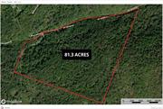 The potential of this versatile 80+ acre property is limited only by your imagination. Located minutes from the highway and local attractions yet private and secluded, this parcel is ideal for the outdoor enthusiast and entrepreneur. Aside from vast acreage of land for hunting and recreation, the lot hosts a bluestone quarry, has potential for energy extraction, and meets requirements for enrollment in a tax saving forestry plan. The quaint cabin on a private drive provides a home base from which to explore and expand. Come take a stroll through a hidden Catskill gem.