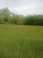 4900+ feet road frontage on 3 roads, make this property great for a single-family home, family compound or a possible 16+ lot subdivision. The sale also includes 2 separate lots which makes a combined acreage of 43+ acres. Lot size in the Town Of Minisink for single-family homes is 2 acres with 200 road frontage. There is an unfinished access road to the field on Mandys Road along with a road cut for future development. There is 837 feet on Rutgers Creek that is stocked every year with Trout.