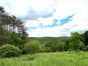 This gorgeous 10 acre parcel with its own pond, close to where the house could be built, many possible locations, has a brand new driveway making it ready to go as soon as you close! Put in your own septic and water well and off you go building your own, one of a kind, dream like getaway property in the Catskills, just outside the hip and happening hamlets of Livingston Manor and Roscoe, along a very beautiful stretch of Dahlia Rd. This property offers it all, higher up you have a cleared area where mountain and valley views delight. An additional 10 acres is for sale right next to this one (Dahlia #2) with a private pond also offering its own sense of beauty and uniqueness. (15.-1-39.8) Buy one and encourage a friend or family member to come join you in the adventure or simply purchase both and create your very own dream like property-! I don&rsquo;t say that lightly. Must be seen to appreciate its beauty and potential! This could truly be the one.