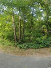 Build your brand new home on this Single and separate vacant lot. Great for a builder, or investor