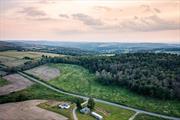 Once in a lifetime opportunity to acquire one of the last remaining unrestricted working farms in Northern Dutchess County, NY. Choice building sites, panoramic views and seclusion yet convenient to New York City, Metro North commuter train and nearby area amenities including Millerton, NY, Litchfield County, CT, Troutbeck Inn, Millbrook, NY and Silo Ridge. 2 of 2 divided plots. 171 acres.