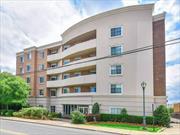 Introducing Maple Towers, a gated luxury building in the heart of downtown Westbury near the train, shops and parks. This 1 bedroom, 1.5 bath condo has been stylishly updated with an en-suite full bath and walk-in closet, stainless steel appliances, a new bathroom vanity, in unit washer/dryer, and a gas fireplace. Jump right into the heated pool with a BBQ area and enjoy all the other amenities this building offers such as a gym, card room, library and party room. One parking space is included in the garage.